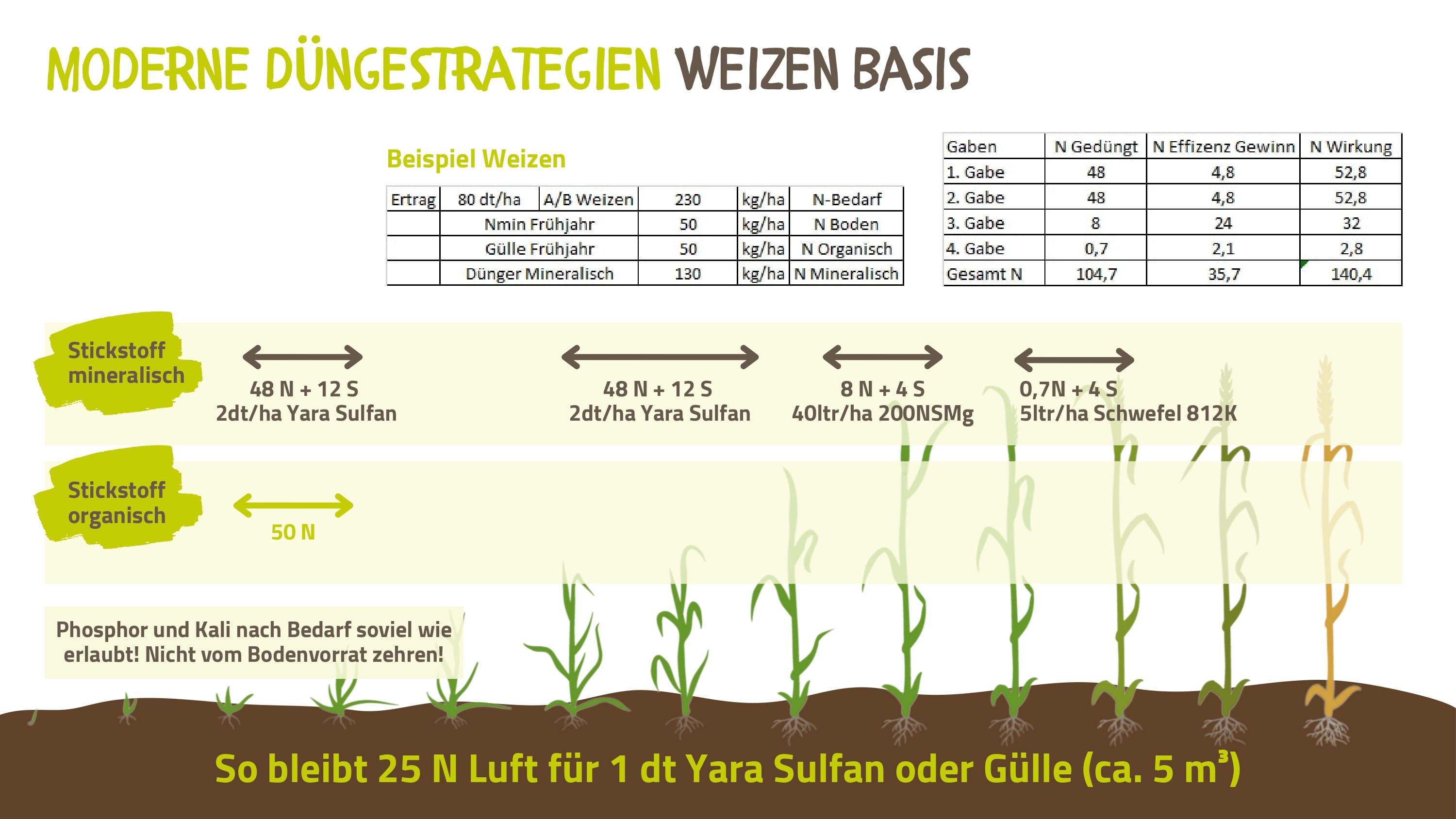 Düngestrategie Weizen Basis